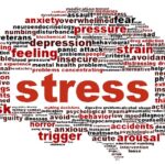 The Hidden Science of Stress: How It Impacts Your Brain, Body, and Long-Term Health