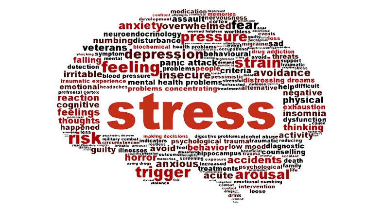 The Hidden Science of Stress: How It Impacts Your Brain, Body, and Long-Term Health