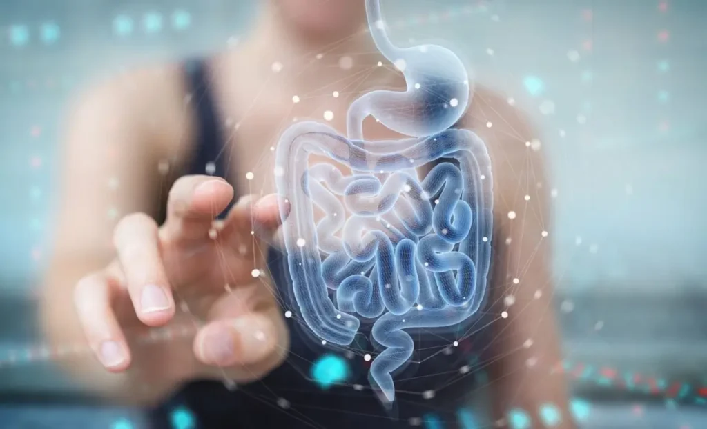 “Le French Gut”: The National Microbiome Study and Its Nutrition Insights