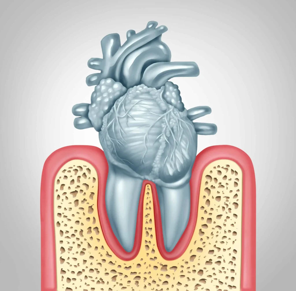 Oral Health and Its Surprising Connection to Heart Disease