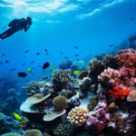 Dive Into Adventure: The Most Breathtaking Scuba Diving Hotspots Around the World