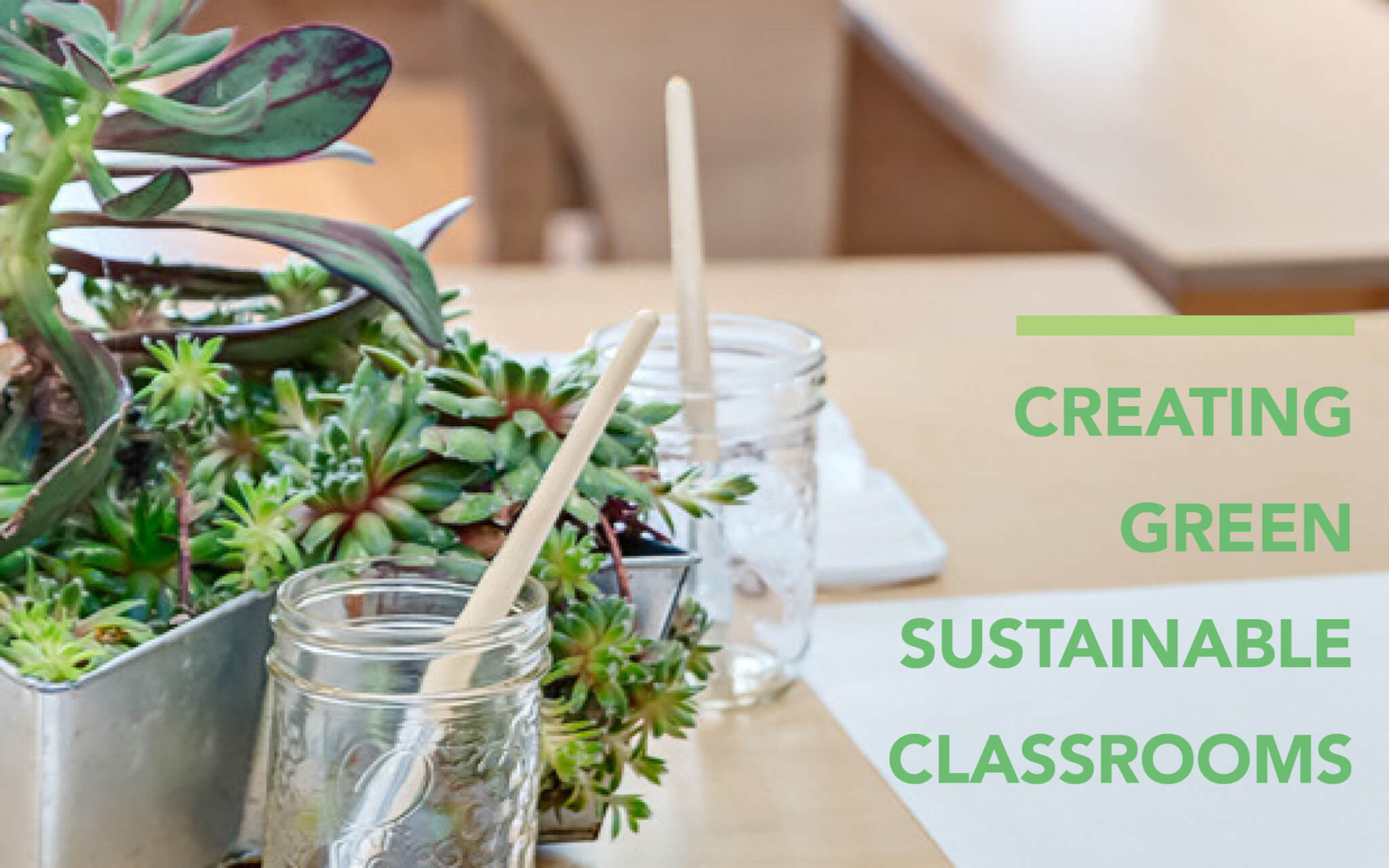 Green Classrooms: Sustainability Lessons Every Student Should Learn