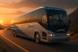 Greyhound's Extensive Route Network